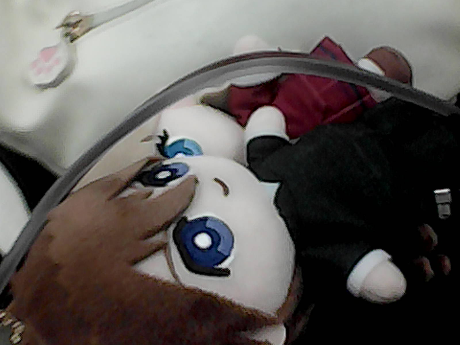 Blood donation tubing on Gundam Wing Duo and Relena plush with fanny cat next to it.